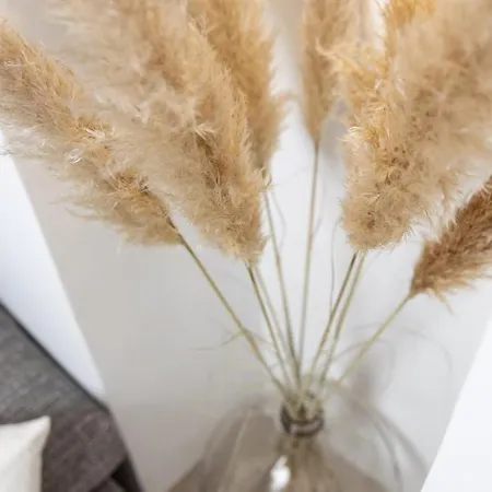 Balcony Pampas By Book-rijeka Rijeka